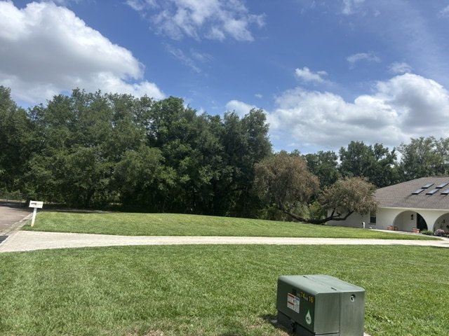 After: healthy, freshly mowed green lawn