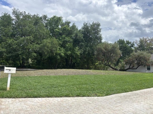 In progress: new grass laid along the driveway