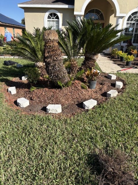 Before: palm bed with loose blocks and old mulch