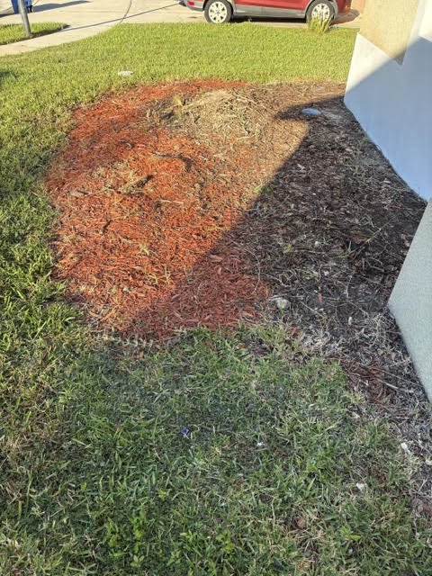 Before: patchy side bed with faded mulch